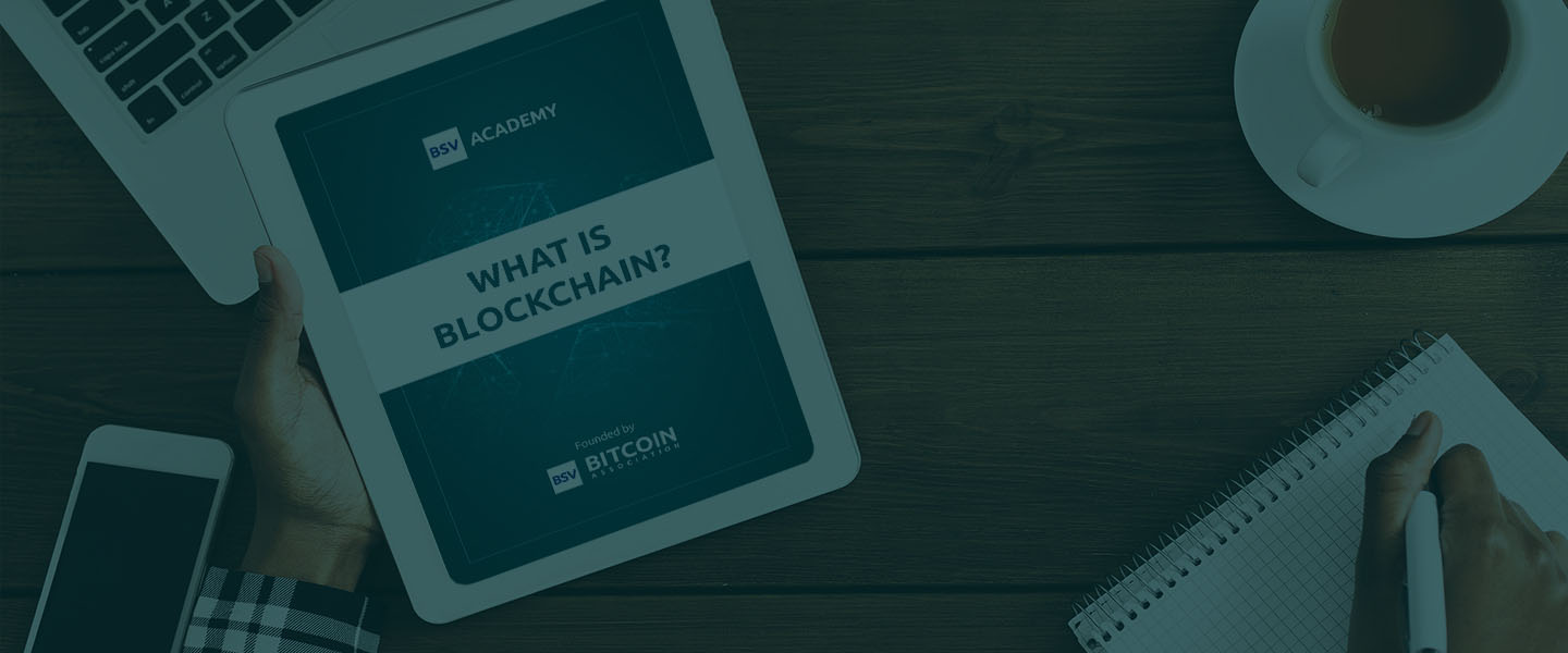 What is Blockchain? ebook