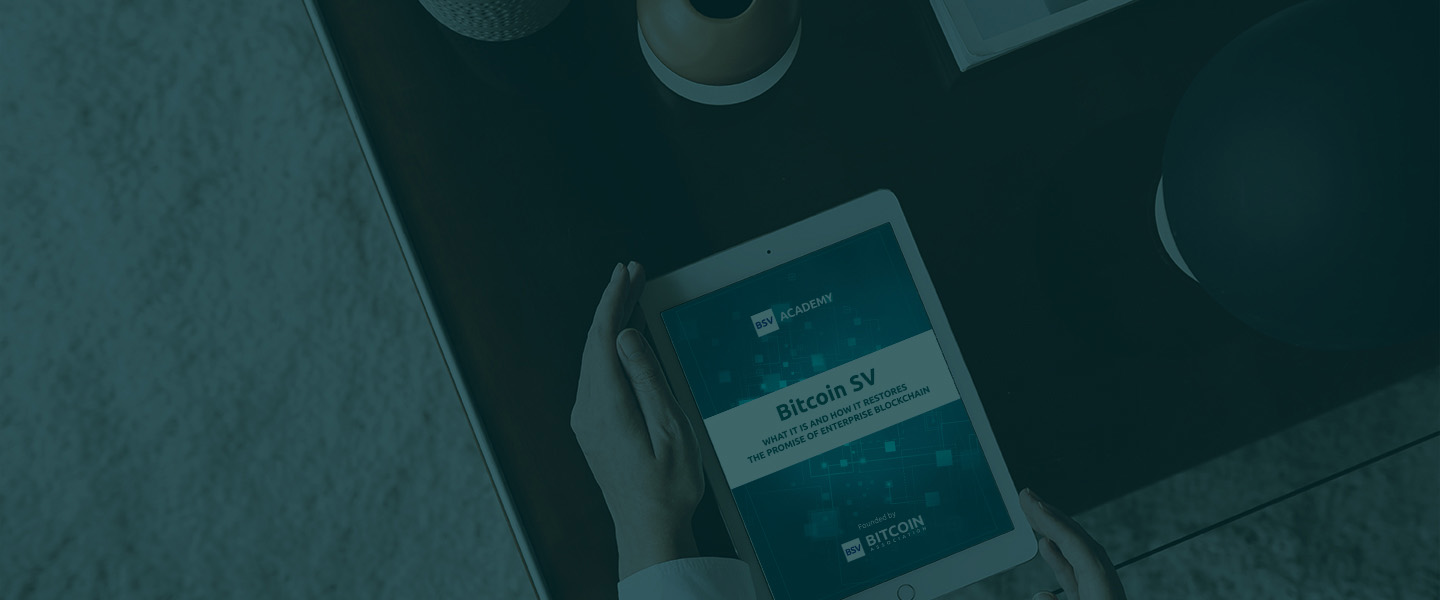 BSV Blockchain for Enterprise Blockchain ebook