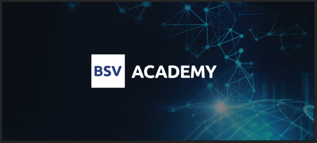 BSV Academy Logo in Blockchain Background