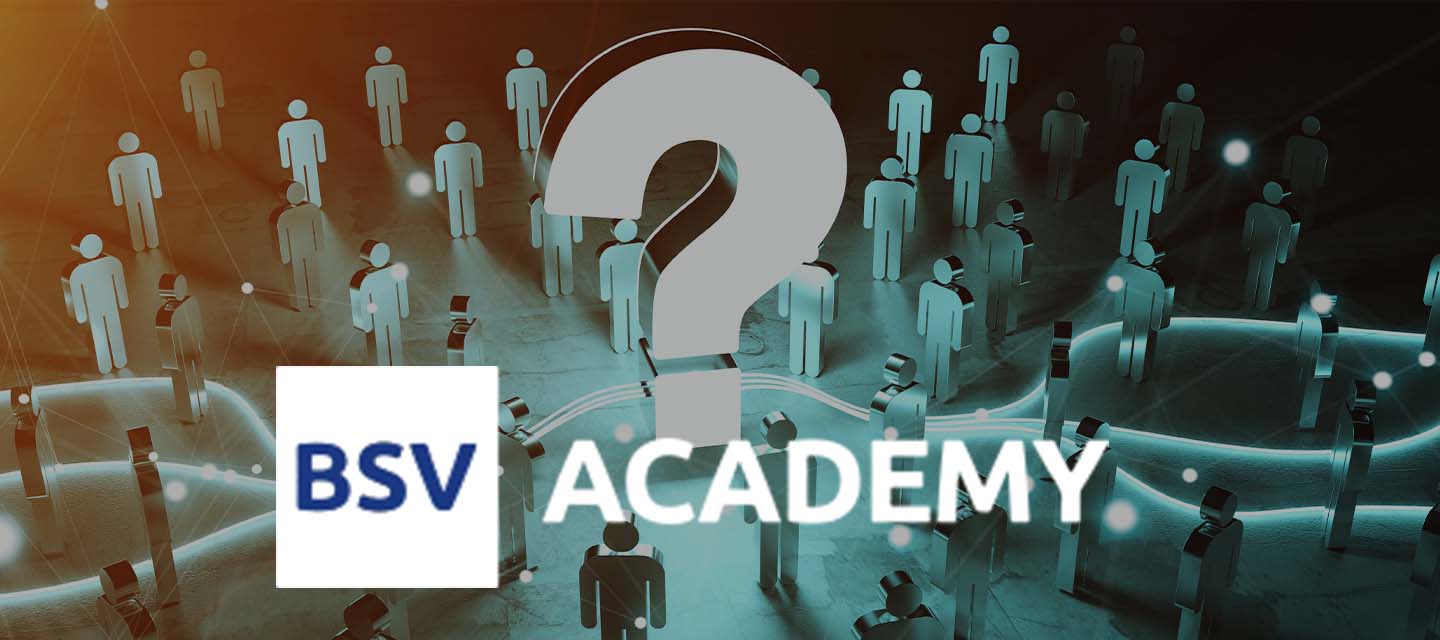BSV Academy Logo over public inquiry