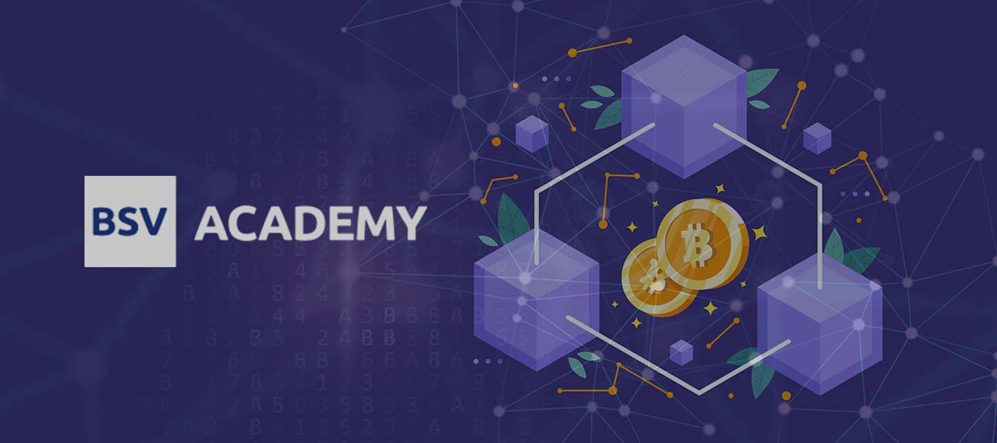 BSV Academy Logo with blockchain concept