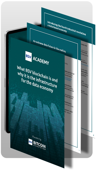 Ebook BSV infrastructure for the data economy