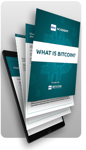 Ebook What is Bitcoin