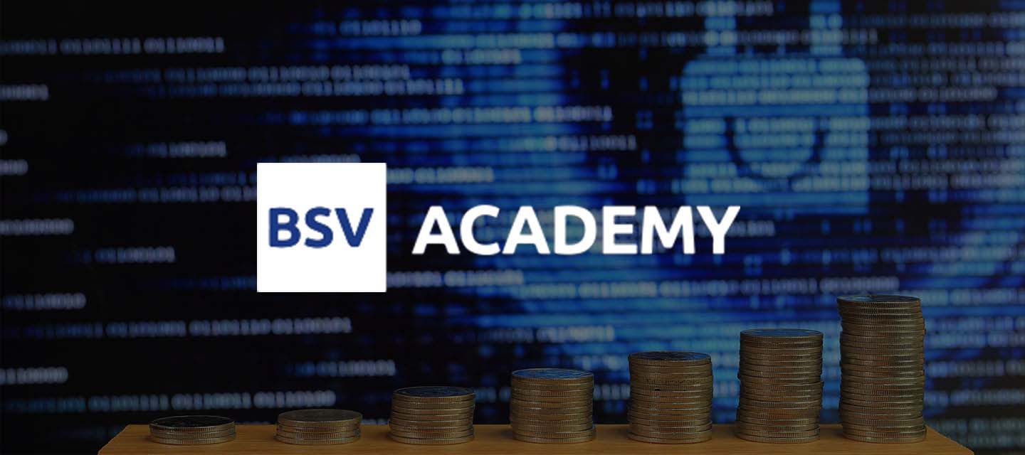 What is the difference between BSV and cryptocurrency? Blog article
